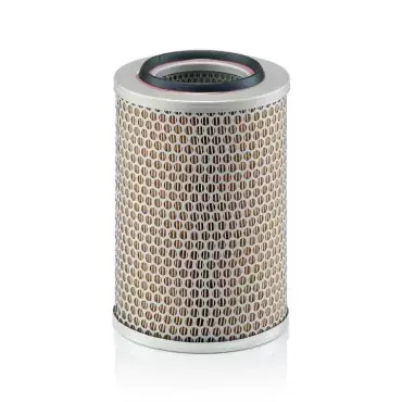 Vezi acum Filtru aer C 17 201 Mann Filter